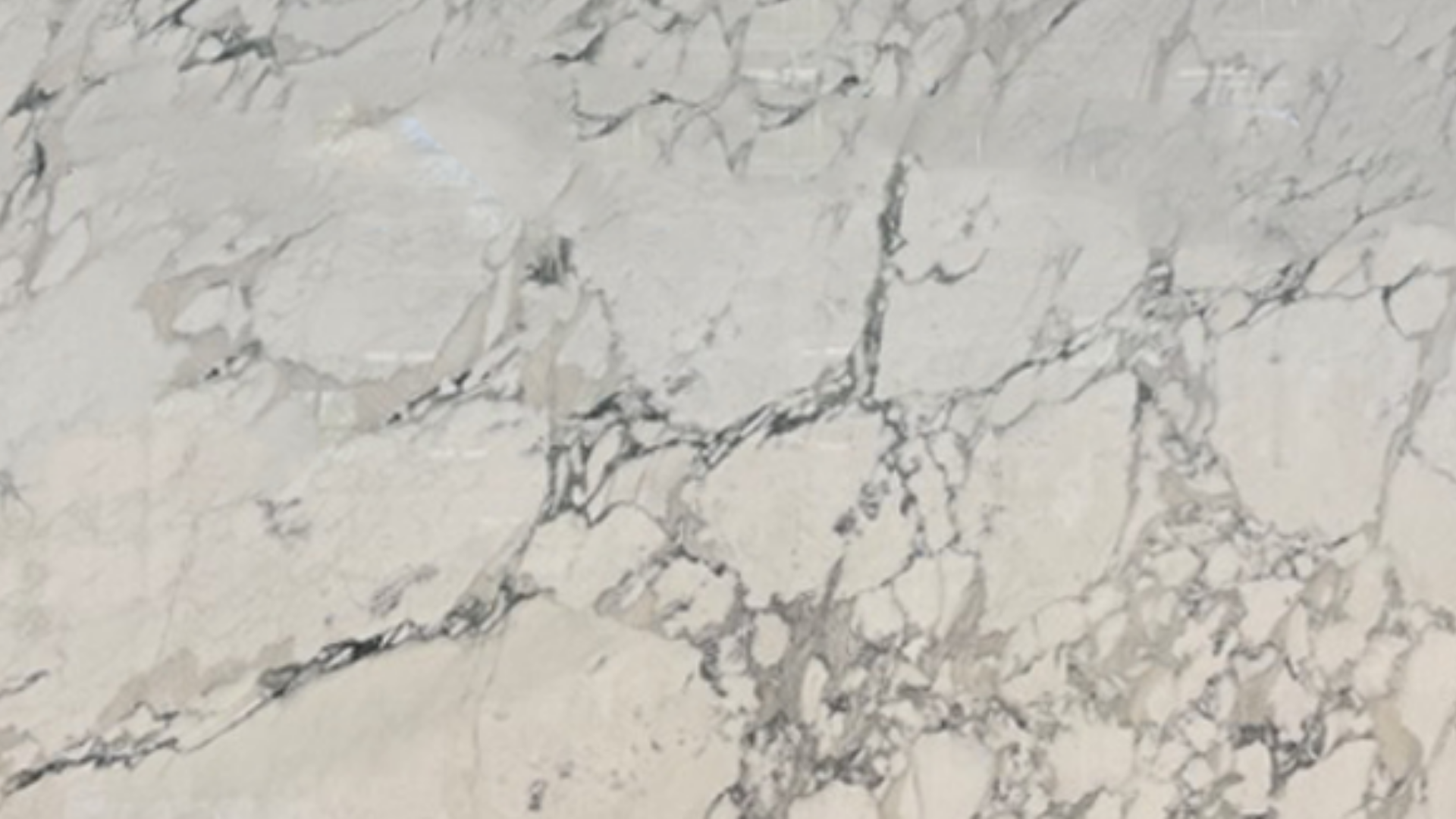 Breccia Capraia Turquoise