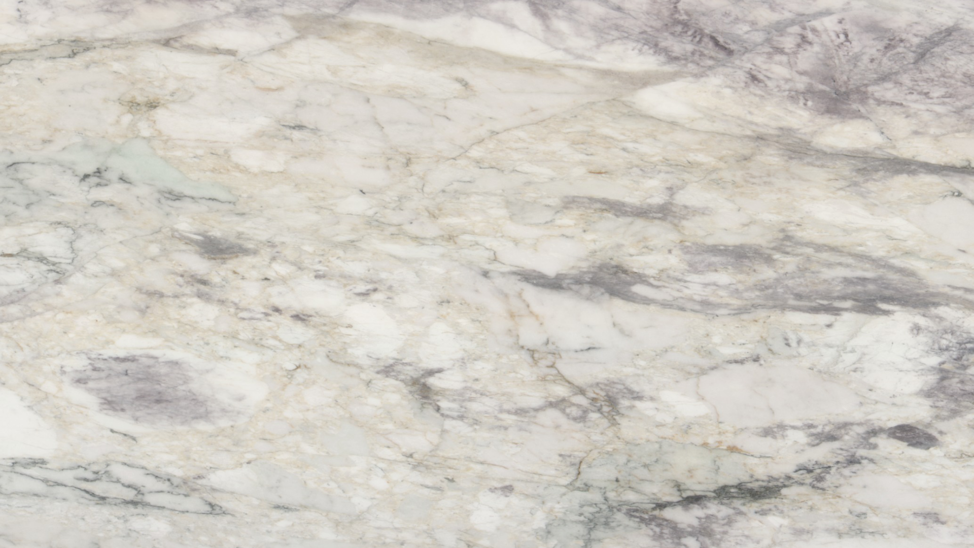 Calacata Viola Antico