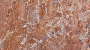 Calacata Retrò (Copia) (Copia) (Copia) (Copia)