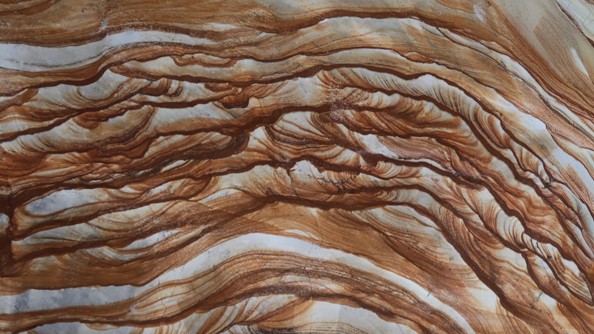 Calacata Retrò (Copia) (Copia) (Copia) (Copia) (Copia) (Copia)